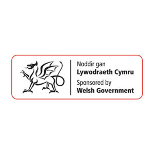 welsh-government