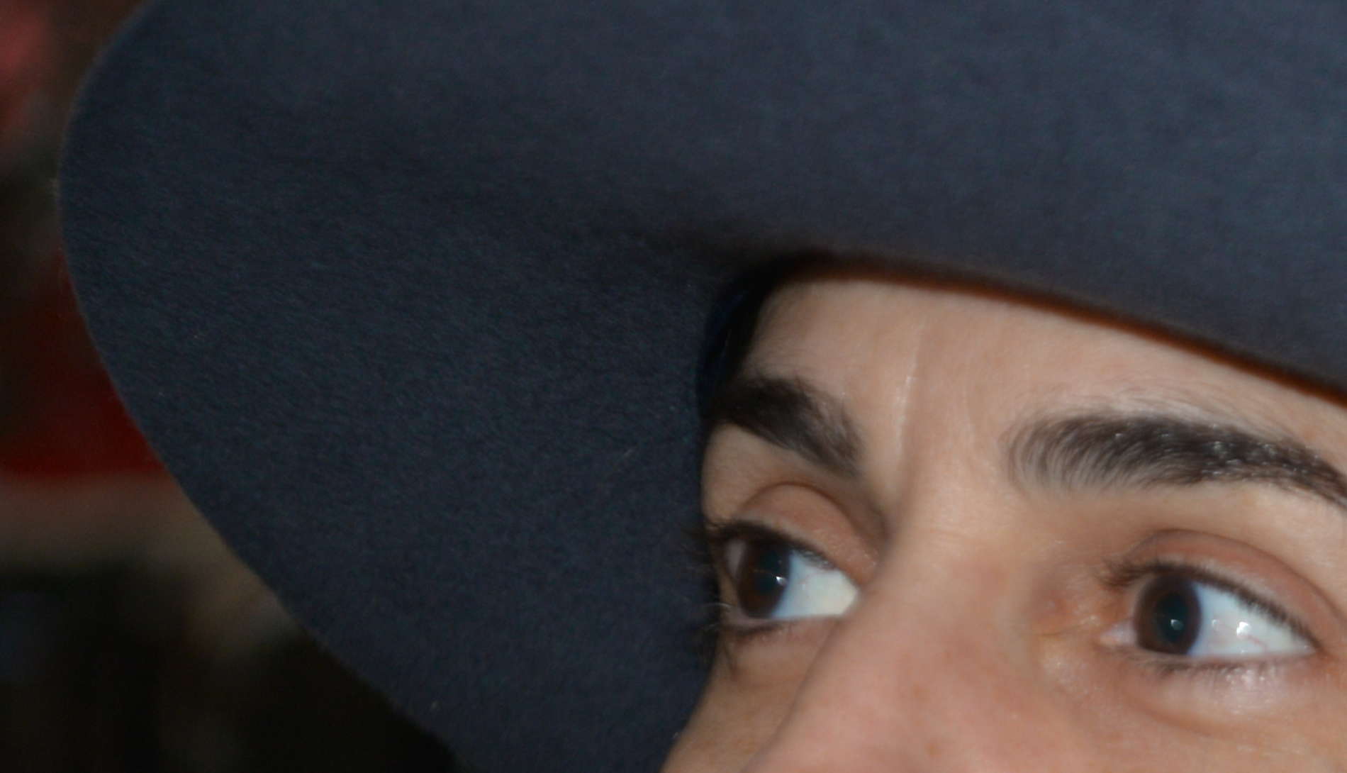 DSC 2212-2-Paula-South-America-in-Fedora-edit-1